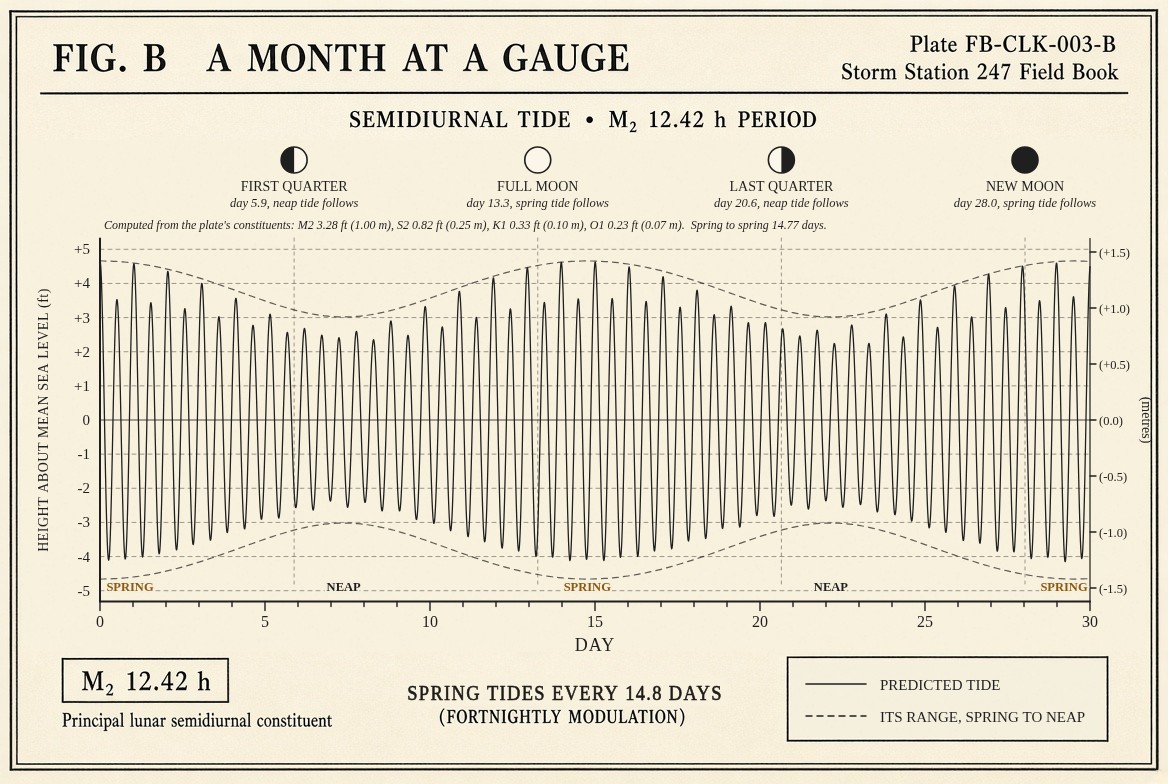 A chart of thirty days of tide at a semidiurnal gauge: two highs and two lows every day, the range swelling to spring tides a day or two after new and full moon and shrinking to neap tides after each quarter, with the four phases of the moon marked above on their days, heights in feet with metres beside them.