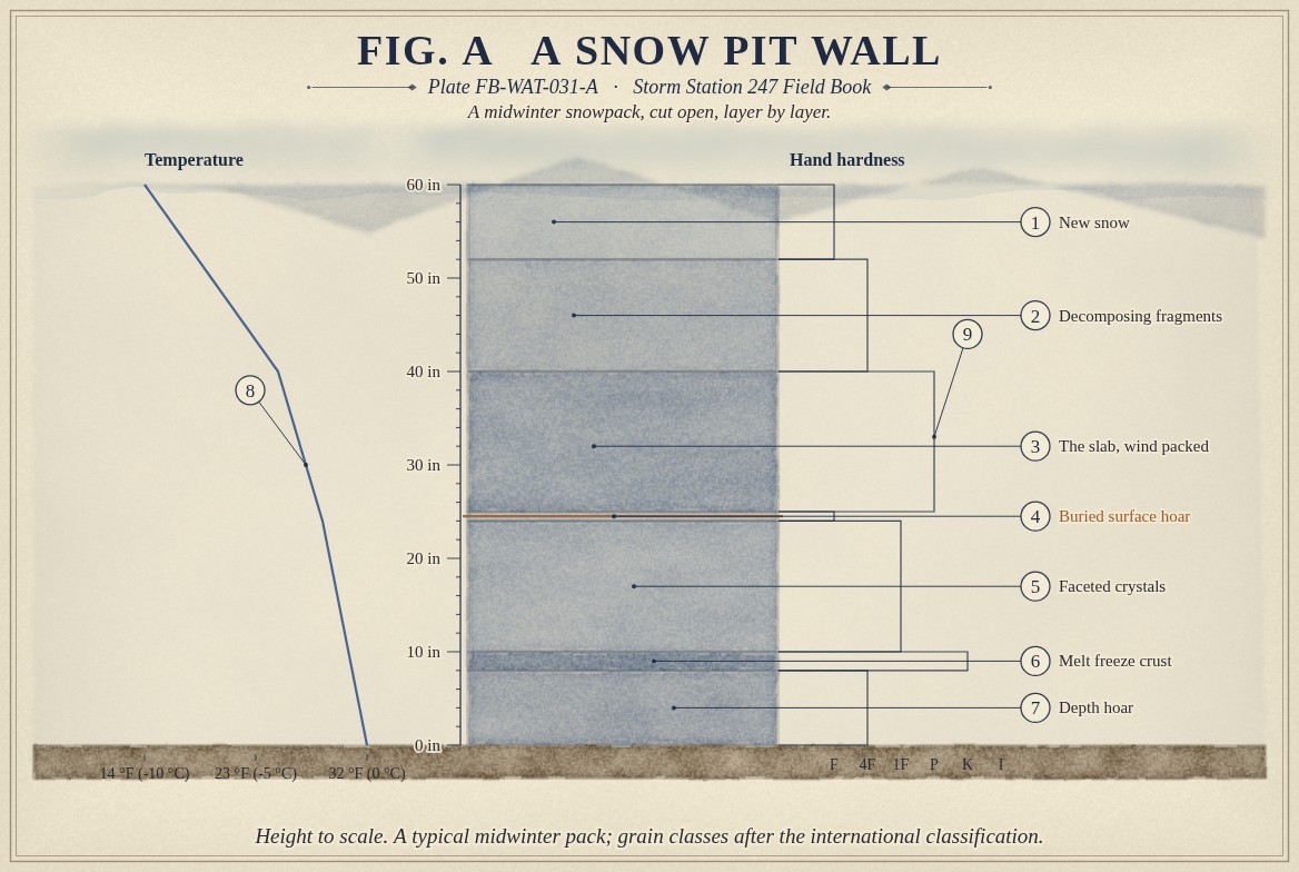 A painted snow pit dug into a snowfield below a mountain ridge, its cut face in blue shade and 60 inches deep against a ruler: from the ground up, depth hoar, a darker melt freeze crust, faceted crystals, a thin rust coloured line of buried surface hoar, the weak layer, a denser blue slab of wind packed snow, decomposing fragments and new snow on top, each named at the right; to the left, the temperature through the pack in blue, from 32 degrees Fahrenheit (0 degrees Celsius) at the ground to 14 degrees Fahrenheit (minus 10 degrees Celsius) at the surface; and to the right, each layer's hand hardness drawn as a bar, from fist to knife.