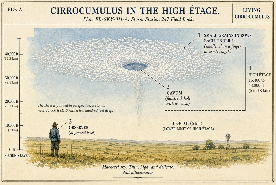 A mackerel sky of small grains of ice in rows, a fallstreak hole in it, and the observer below.
