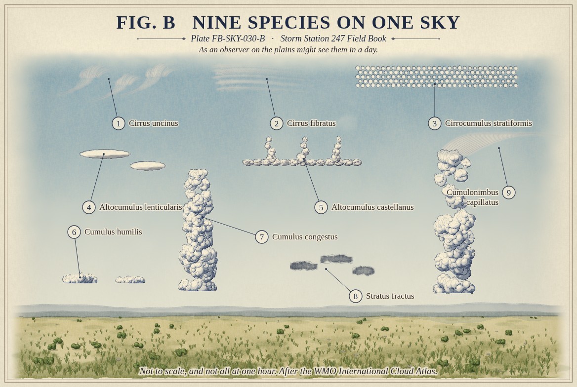 A painted sky over the plains, not to scale, with nine clouds numbered and named: high up, the hooked heads of cirrus uncinus, the straight filaments of cirrus fibratus and the rows of grains of cirrocumulus stratiformis; in the middle, two smooth lenses of altocumulus lenticularis and the turrets of altocumulus castellanus on a common base; low, two small flat cumulus humilis, a tall cumulus congestus, dark ragged shreds of stratus fractus, and a tall cumulonimbus capillatus with a fibrous streaked top.