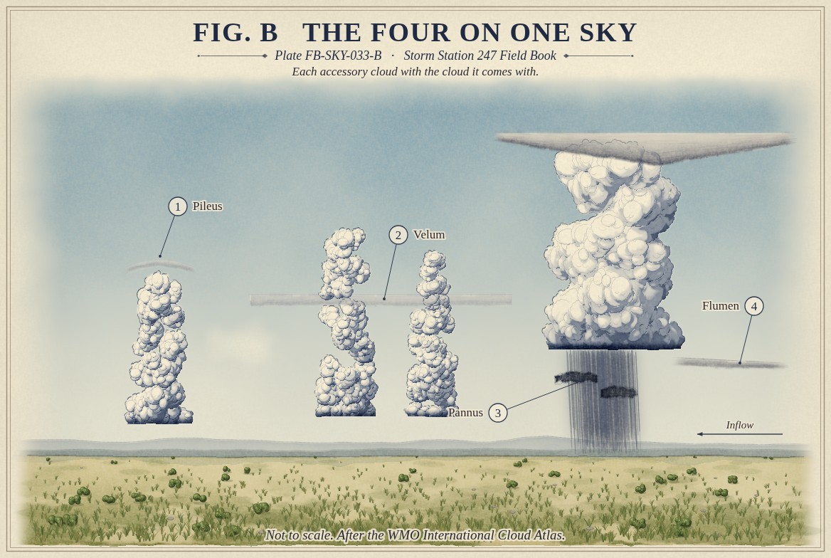 A painted sky, not to scale: a towering cumulus wearing a thin pale cap, pileus; two growing towers rising into a wide thin veil, velum; a raining storm with dark ragged scud, pannus, beneath its base; and a thin band of low cloud, flumen, running into the storm from the right above an arrow of the inflow.