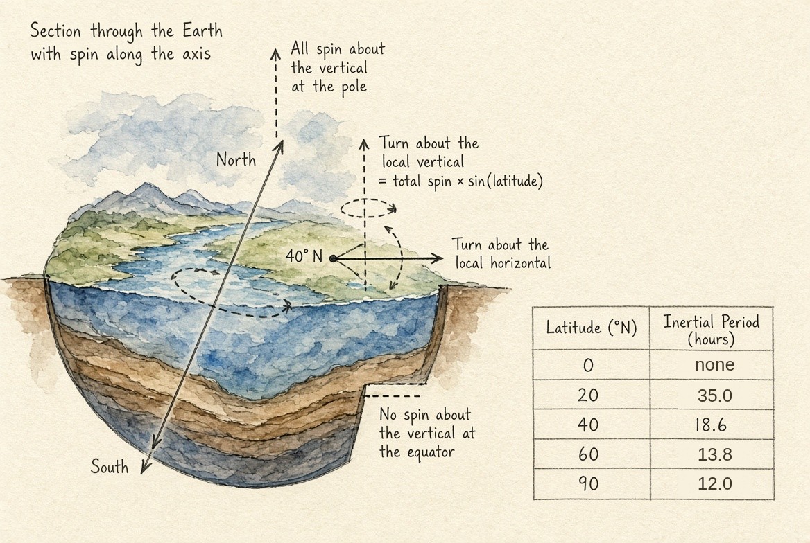 A painted section through the Earth, its spin along the axis from South to North: at a place at 40 degrees north the spin is split into a turn about the local vertical, the total spin times the sine of the latitude, and a turn about the local horizontal; a note that all the spin is about the vertical at the pole and none at the equator. Beside it a table of the inertial period by latitude: none at the equator, 35.0 hours at 20 degrees north, 18.6 hours at 40, 13.8 hours at 60 and 12.0 hours at the pole.