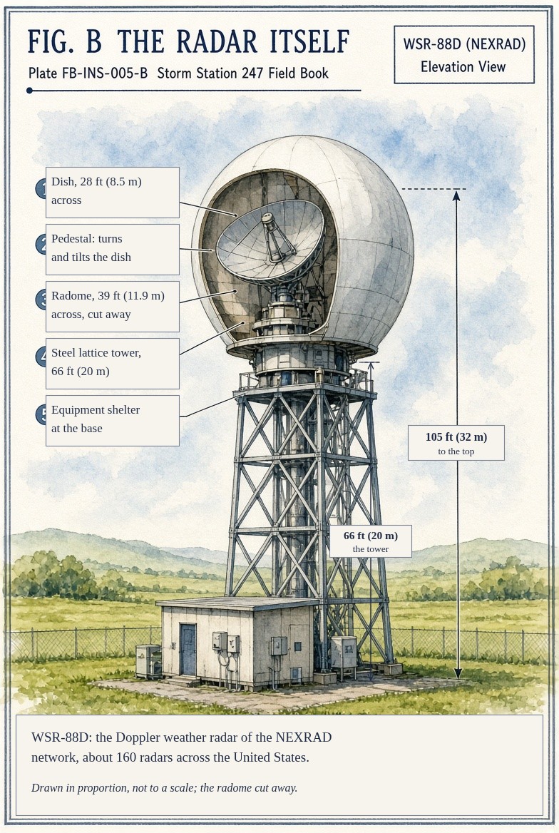 A painted elevation of a WSR-88D weather radar in open country: a steel lattice tower 66 feet (20 metres) high carrying a white radome 39 feet (11.9 metres) across, cut away to show the dish 28 feet (8.5 metres) across on its pedestal, tilted to a low scan; about 105 feet (32 metres) from the ground to the top of the radome; and a small equipment shelter at the foot of the tower inside a fence.