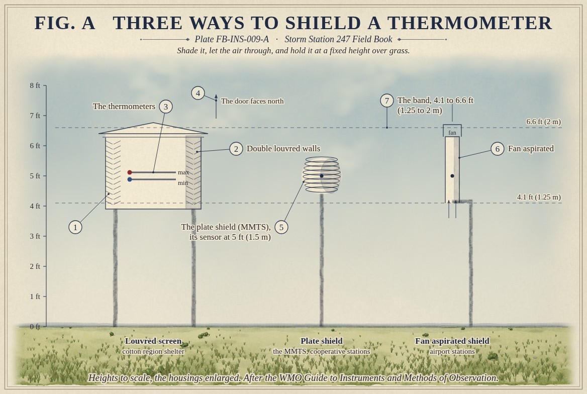 A painted elevation of three white temperature shields standing on short grass under a blue sky, heights marked from the ground to 8 feet: a louvred wooden screen on four legs with a double roof and double slatted walls, its door facing north, and inside it a maximum and a minimum thermometer at 5 feet; a round stack of white plates on a post, the plate shield the cooperative stations use, its sensor at 5 feet (1.5 metres); and a white tube with a fan on top drawing air up past its sensor, the fan aspirated shield of the airport stations; with dashed lines at 4.1 and 6.6 feet (1.25 and 2 metres), the band every one of them holds its sensor in.
