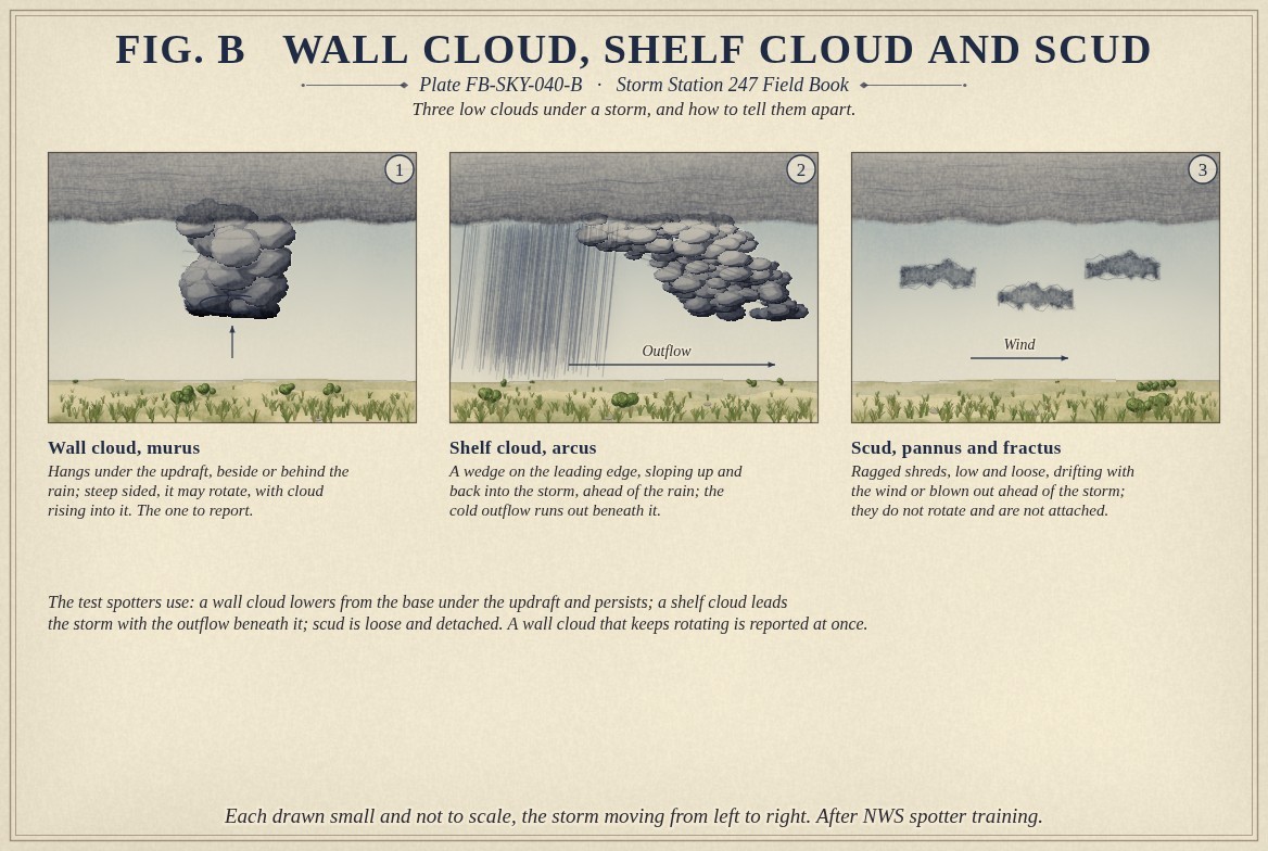 Three small paintings under a dark storm base. A wall cloud: a steep sided block lowered from the base, banded as it turns, with an arrow of air rising into it. A shelf cloud: a wedge sloping up and back into the storm ahead of a grey rain curtain, with an arrow of outflow running out beneath it. Scud: ragged loose shreds below the base with an arrow of the wind.