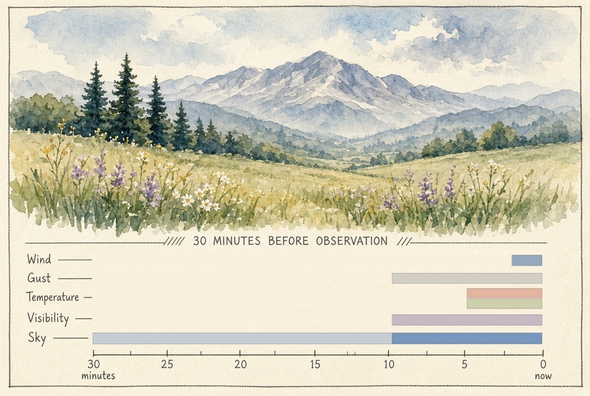 A painted mountain meadow above a time strip of the 30 minutes before an observation, one bar for each element ending at the observation: wind from the last 2 minutes; gust from the last 10; temperature and dew point from the last 5; visibility from the last 10; and sky from the whole 30, the most recent 10 shaded darker because they are counted twice.