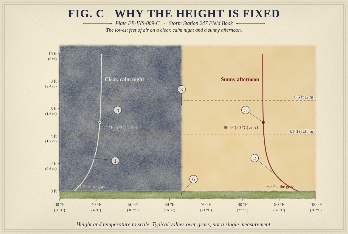 A painted chart of temperature against height in the lowest 10 feet (3 metres) over grass, split into a dark night half and a warm day half: a pale curve for a typical clear, calm night, coldest at the grass at 34 degrees Fahrenheit and 41 degrees Fahrenheit (5 degrees Celsius) at 5 feet; a red curve for a typical sunny afternoon, hottest at the grass at 95 degrees Fahrenheit and 86 degrees Fahrenheit (30 degrees Celsius) at 5 feet; frost on the grass under the night half; and dashed lines at 4.1 and 6.6 feet (1.25 and 2 metres), the band where both curves have steadied.